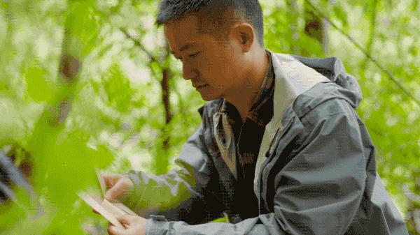 吃毒菇、睡蛇窝，只为挖一堆草，这个重庆博士要做当代神农