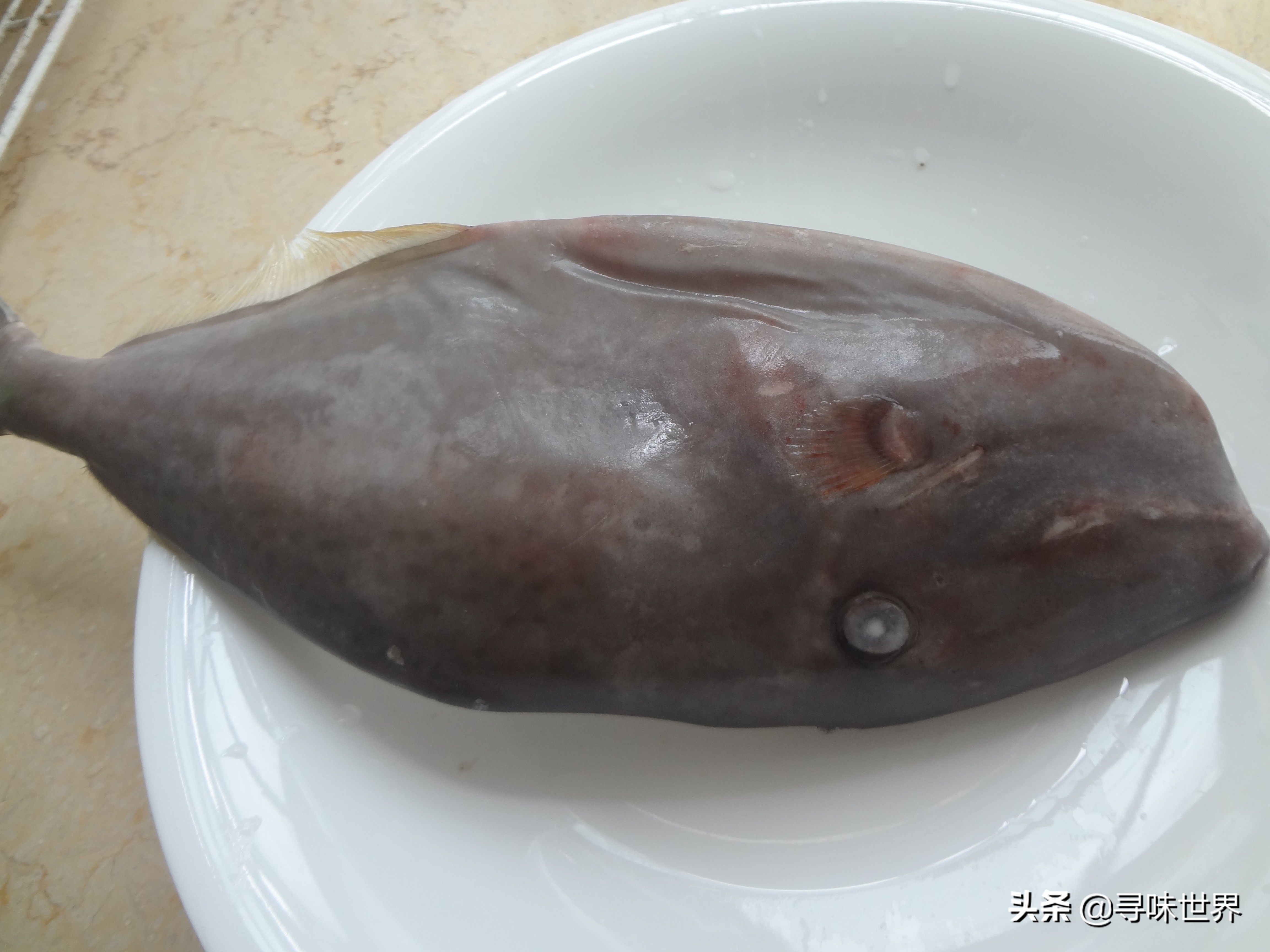 买鱼食内行人专买这十种纯海鱼,内行人就买这5种鱼