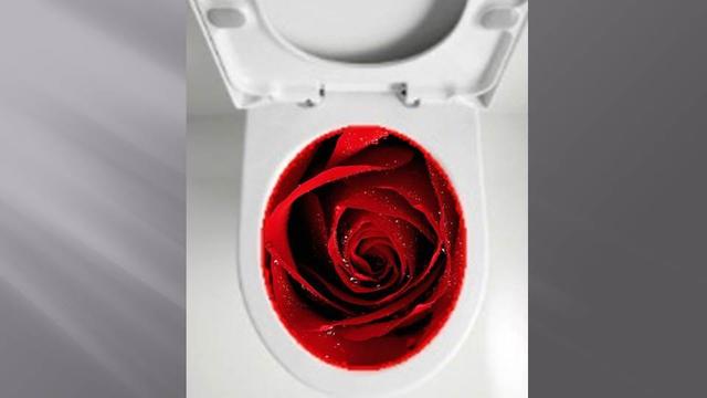 便血中医鉴别诊断有哪些,临床上常见的便血的原因