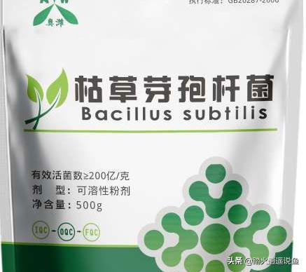 死水塘养殖如何水循环,死水塘改善水质