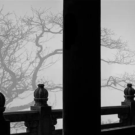 一去梵净,便懂了最美中国风