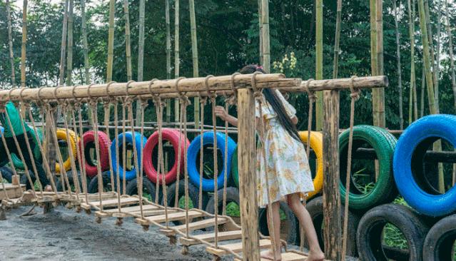 国内赏竹,中国人赏竹