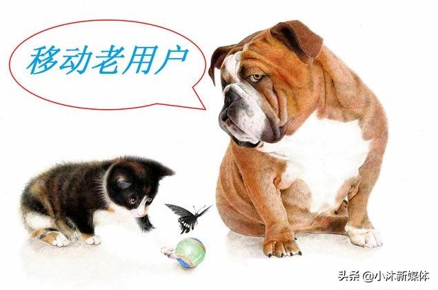 为啥“抠门”的中国移动，却免费送宽带，背后的猫腻你都知道吗？