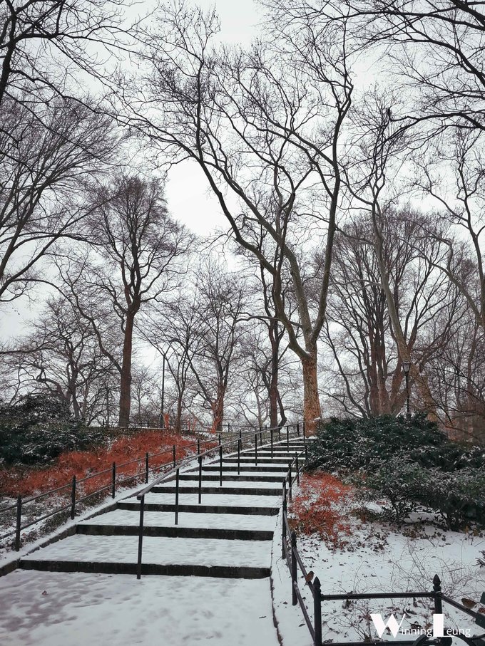 现实版未来之城纽约中央公园,纽约中央公园和北京奥体森林公园