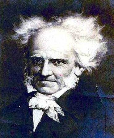 叔本华说人生感悟经典语录,叔本华洞悉世事的本质完整版