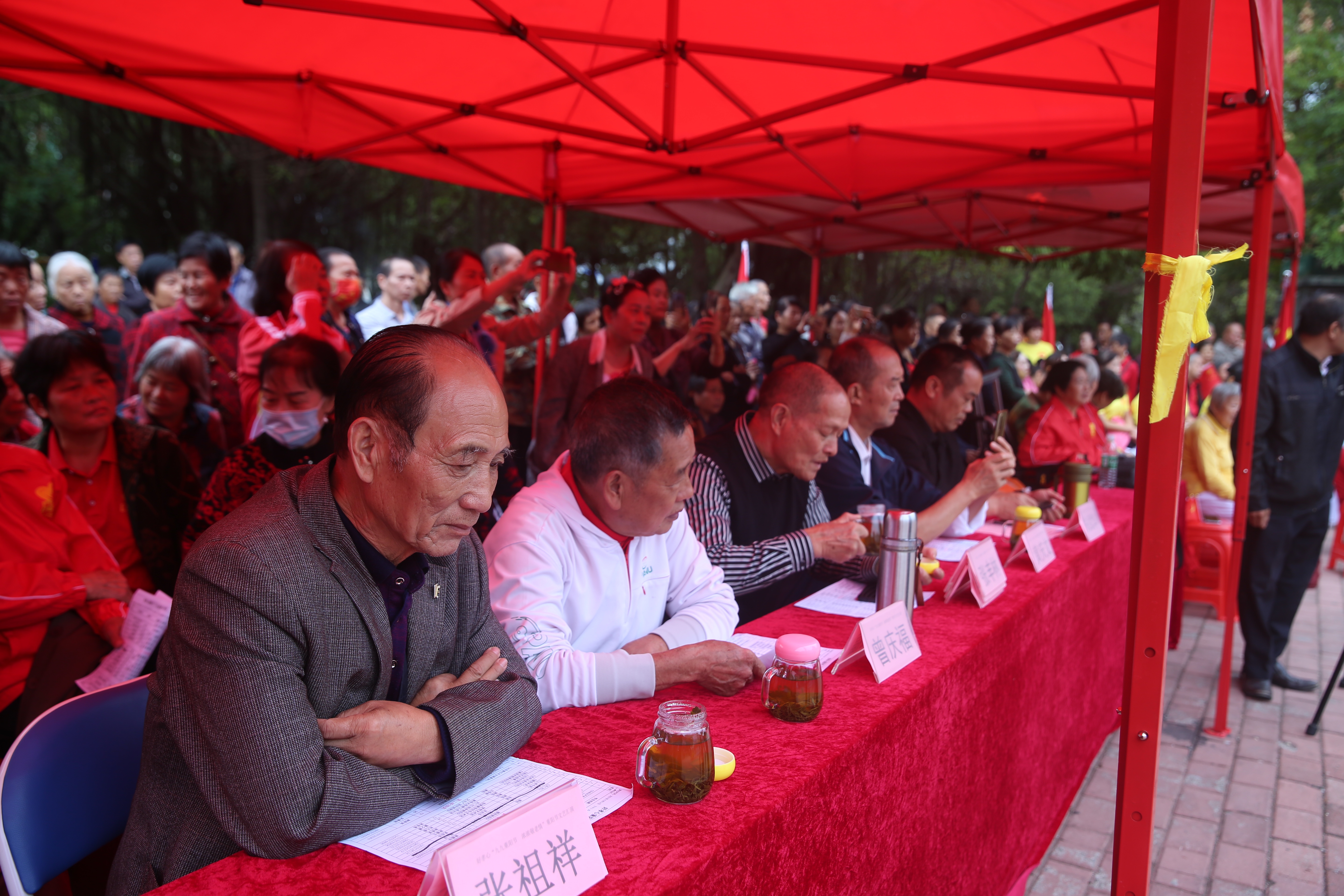 九九重阳节，浓浓敬老情,九九重阳节浓浓敬老情征文