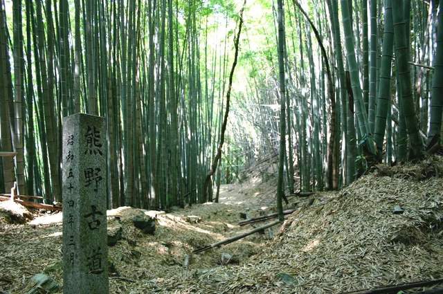 大阪和歌山一日游最佳路线,和歌山日本旅游