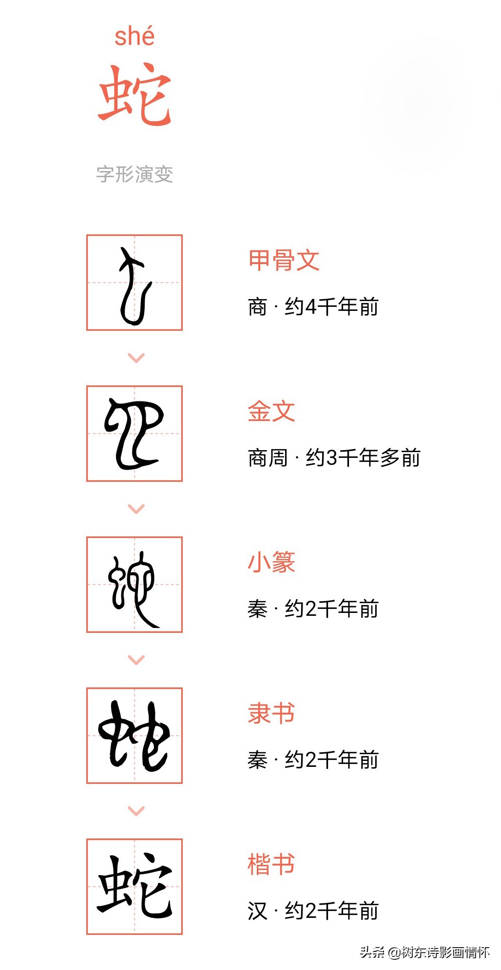 树繁体字说文解字,树字的说文解字