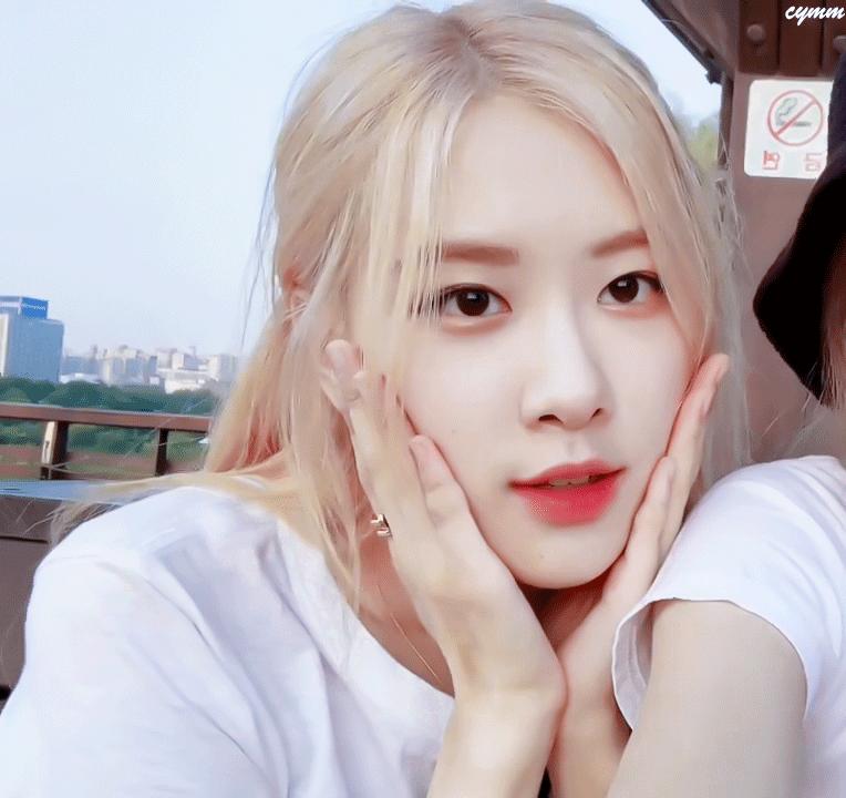 澳洲野玫瑰穿仙女裙 (澳洲野玫瑰日常生活)