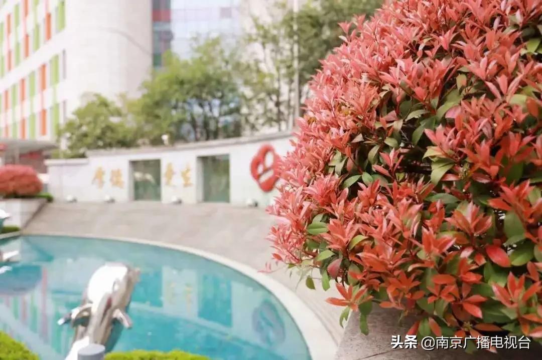 3月22日南京要闻及抗击肺炎快报,南京最新疫情防控消息3月22号