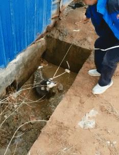 搞笑gif你们这些城里人太会玩了,搞笑gif逗比的世界你永远理解不了