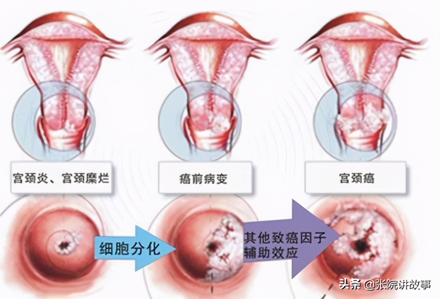 张院谈健康,张院介绍