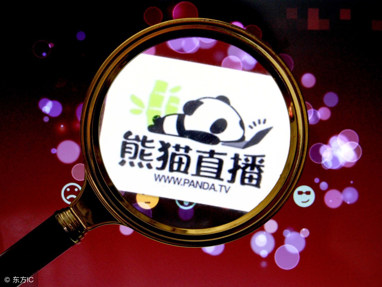 王思聪和他的熊猫直播,王思聪领头创办的熊猫直播平台