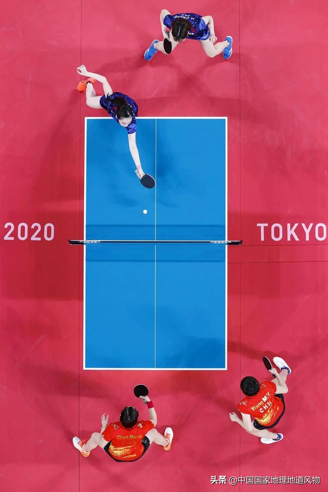 哪个地方的奥运冠军最多,中国哪个县世界冠军最多