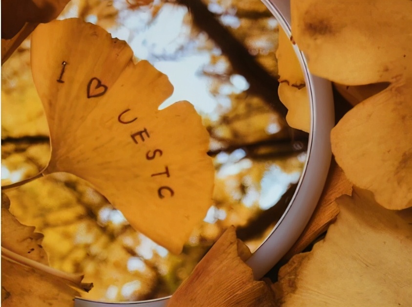 电子信息科学和电子信息工程区别,电子科学类和电子信息工程哪个好