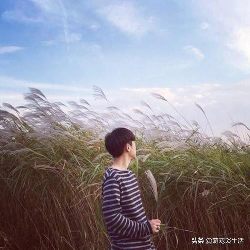 分手想不开怎么劝解,分手后的最佳解决方法