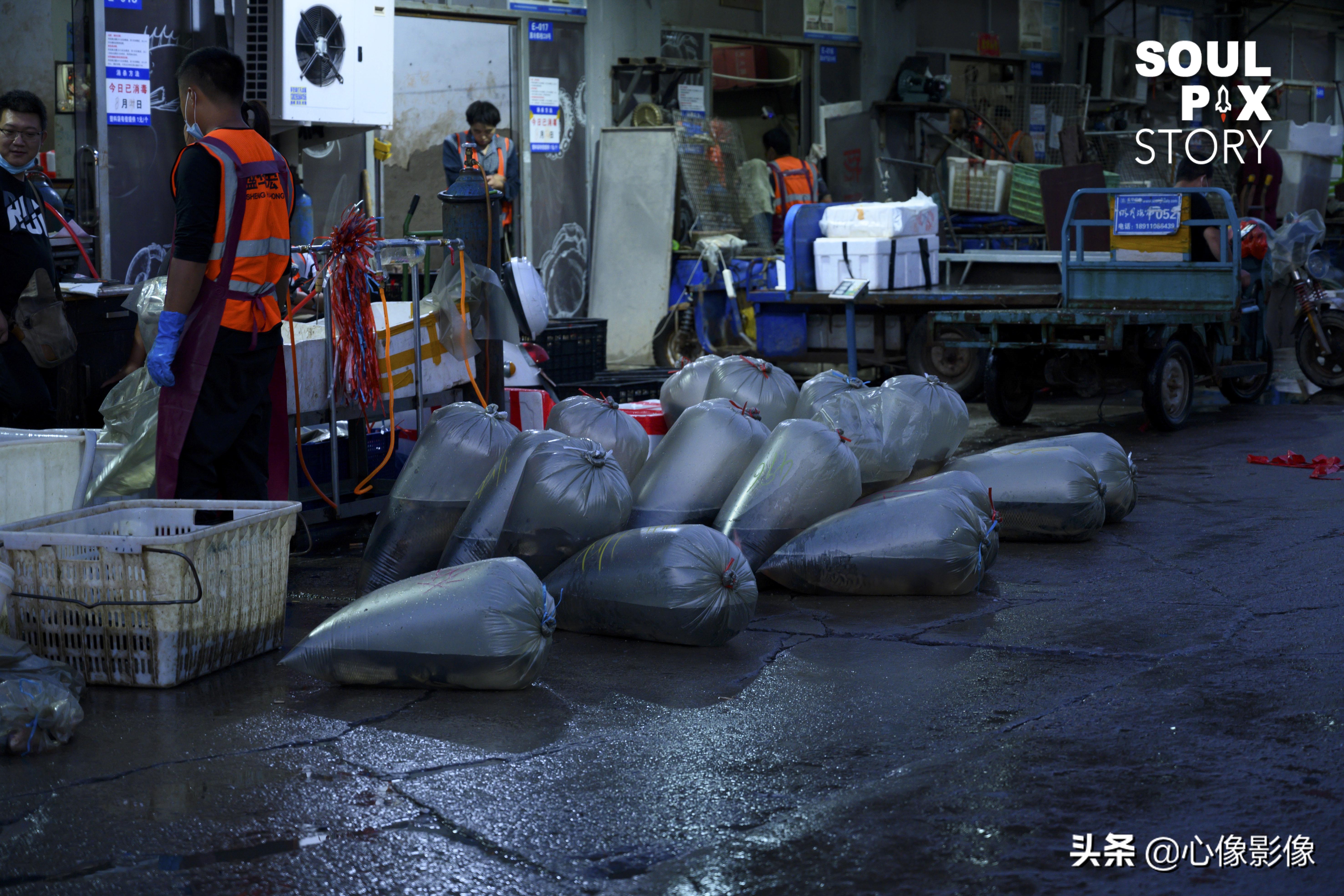 王四营海鲜市场疫情期间营业了吗,北京最新疫情海鲜市场