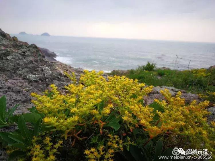 鹿西岛白龙屿旅游攻略,鹿西岛白龙屿日出