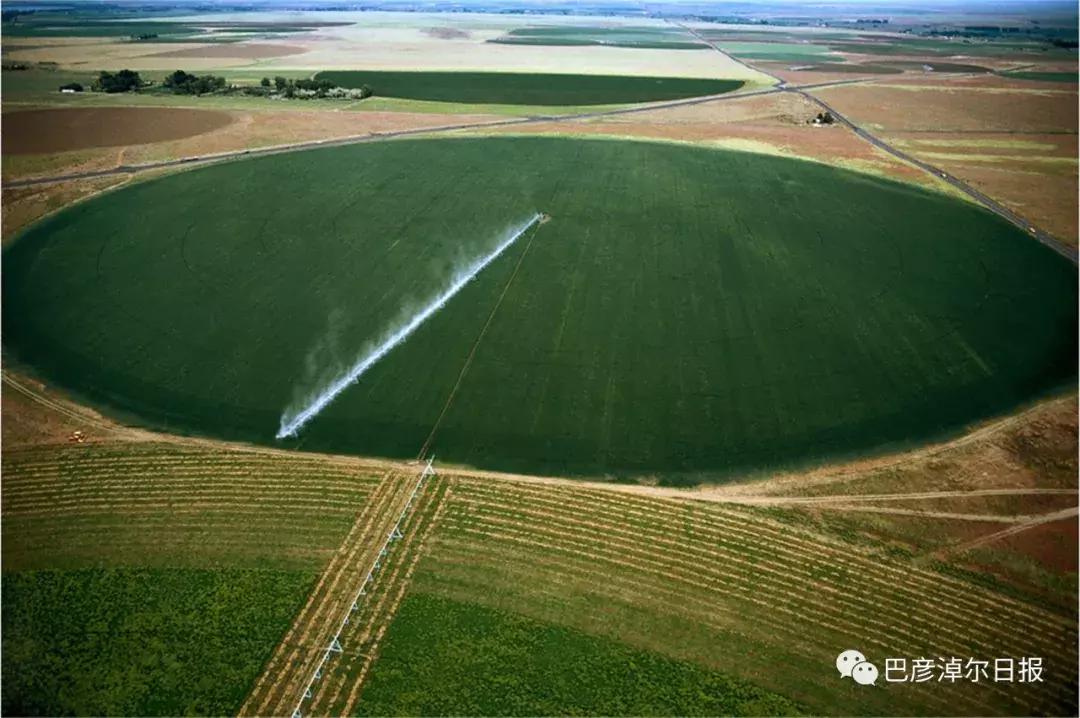 放心喝的牛奶,什么是圣牧有机奶