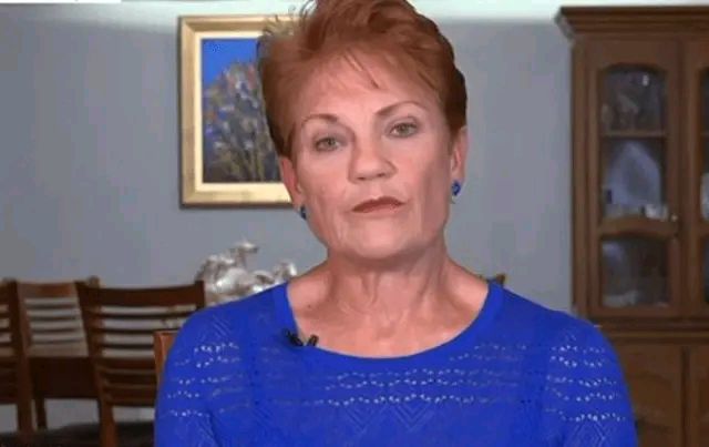 澳洲禁止中国产品进口吗,澳洲对华禁止出口什么