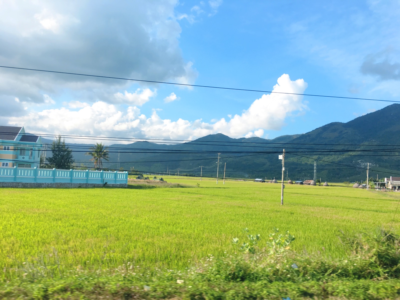 去越南自由行攻略和费用,越南自由行25天费用多少