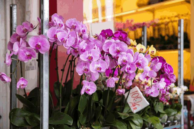 香港小众地点大全,香港最好逛的地方