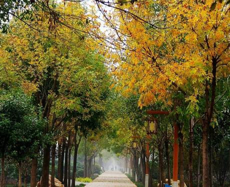 人少景美免费公园,人少好玩的免费公园