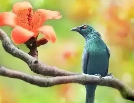 心理测试测你近期需要提防是什么,心理测试四种礼服测你的脾气