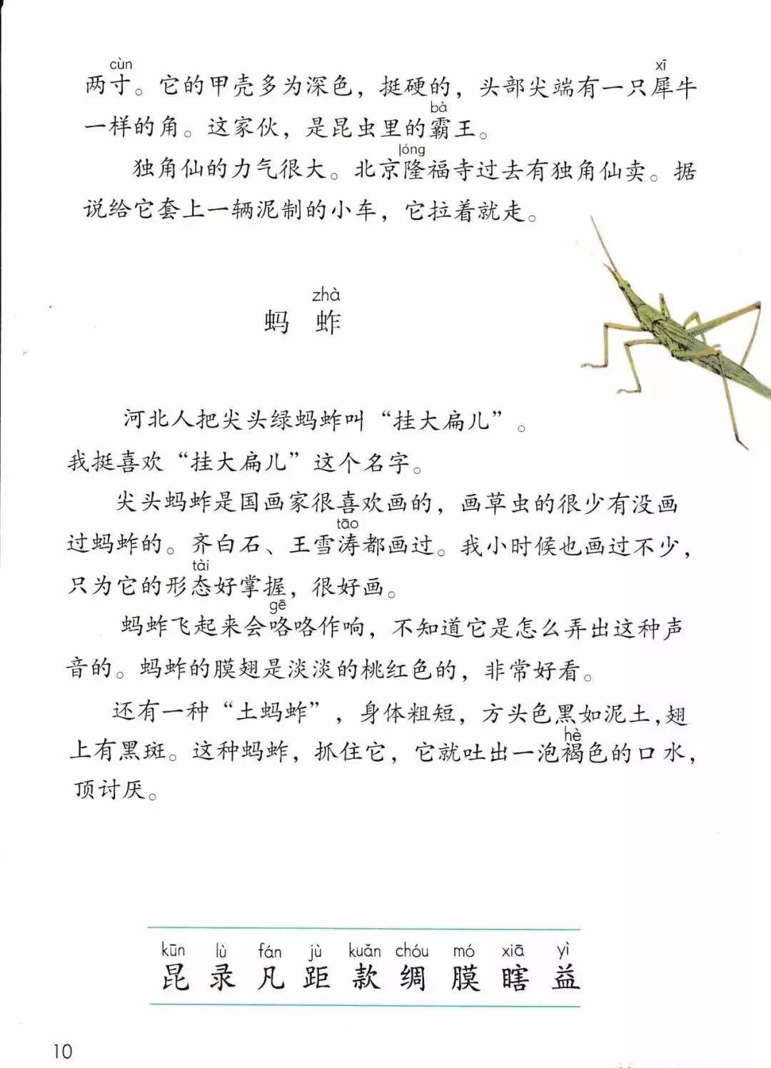 部编版三年级语文课本下册,部编版三年级下册英语电子课本