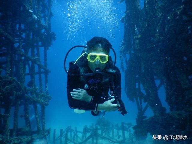 潜水的时候该怎么下潜,潜水是如何做到上浮下潜的