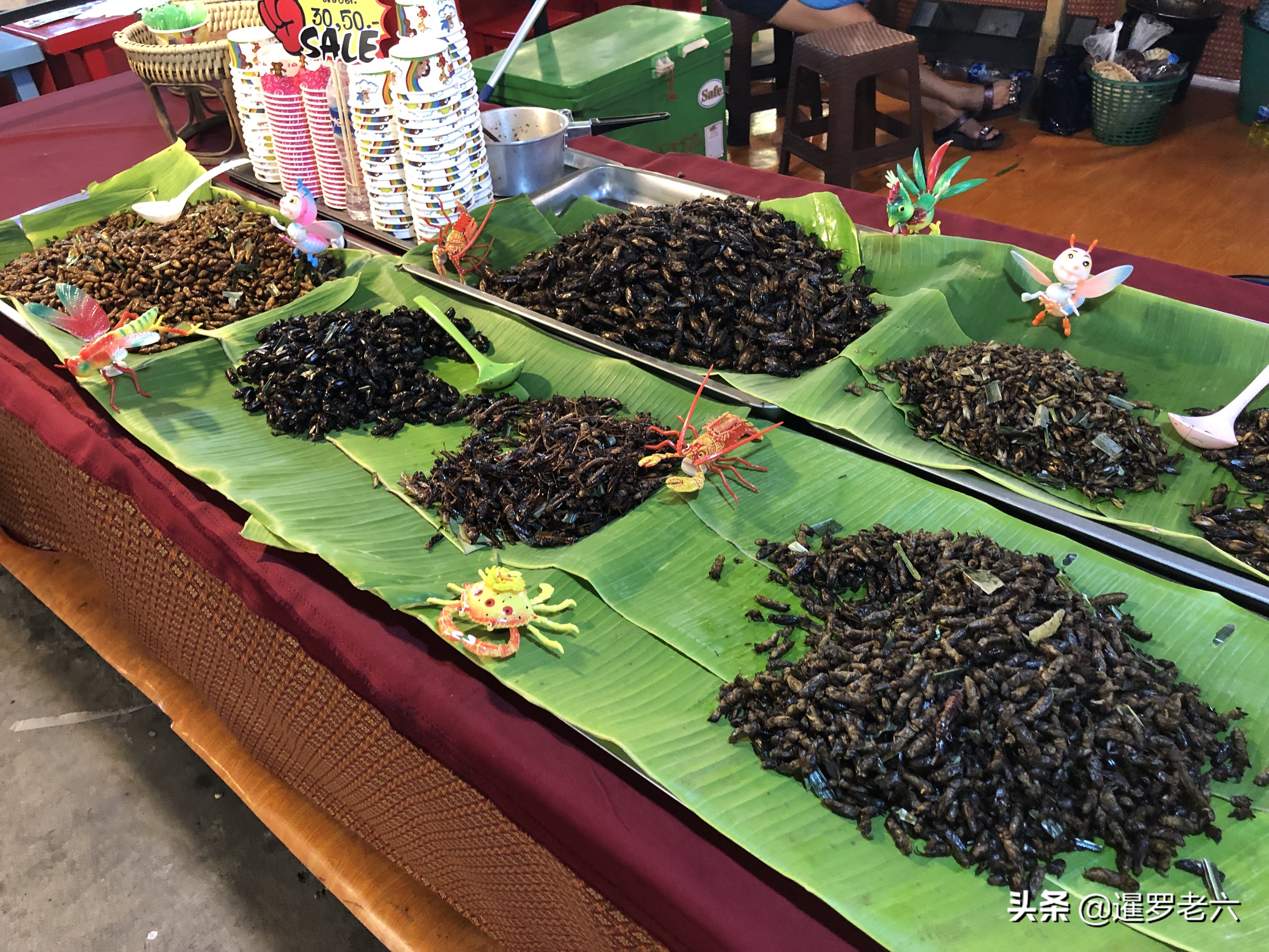 曼谷人气火爆的夜市,泰国曼谷joddfairs网红夜市