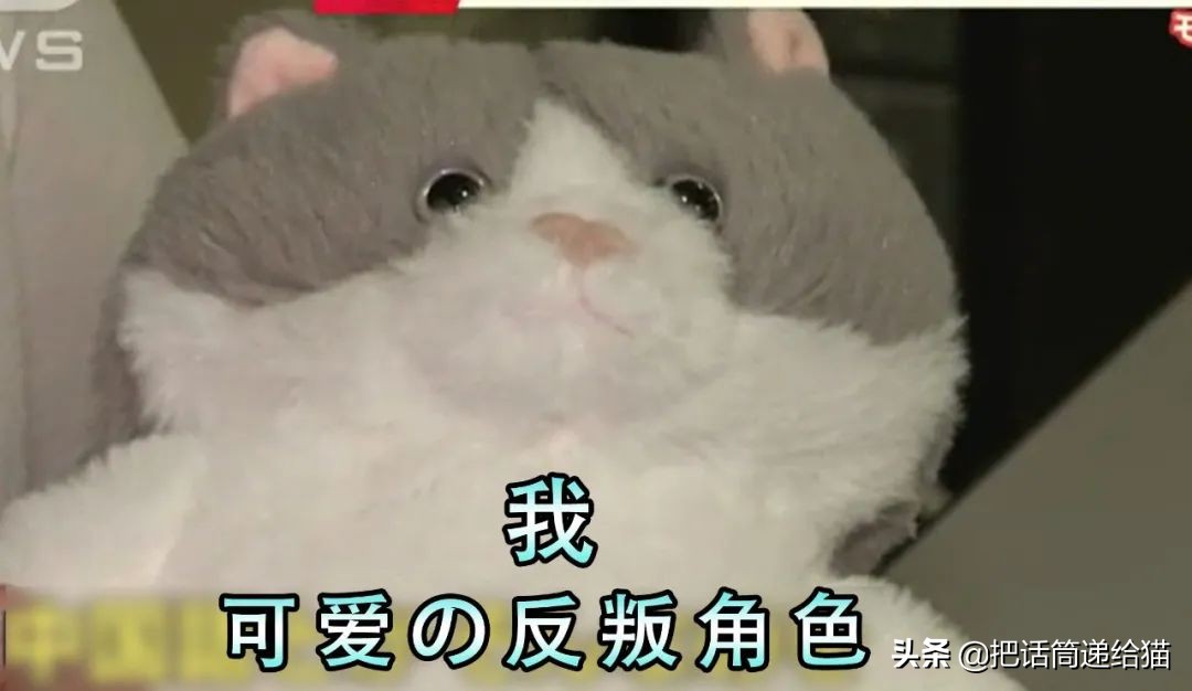 日本网红猫包,日本网红猫咪包