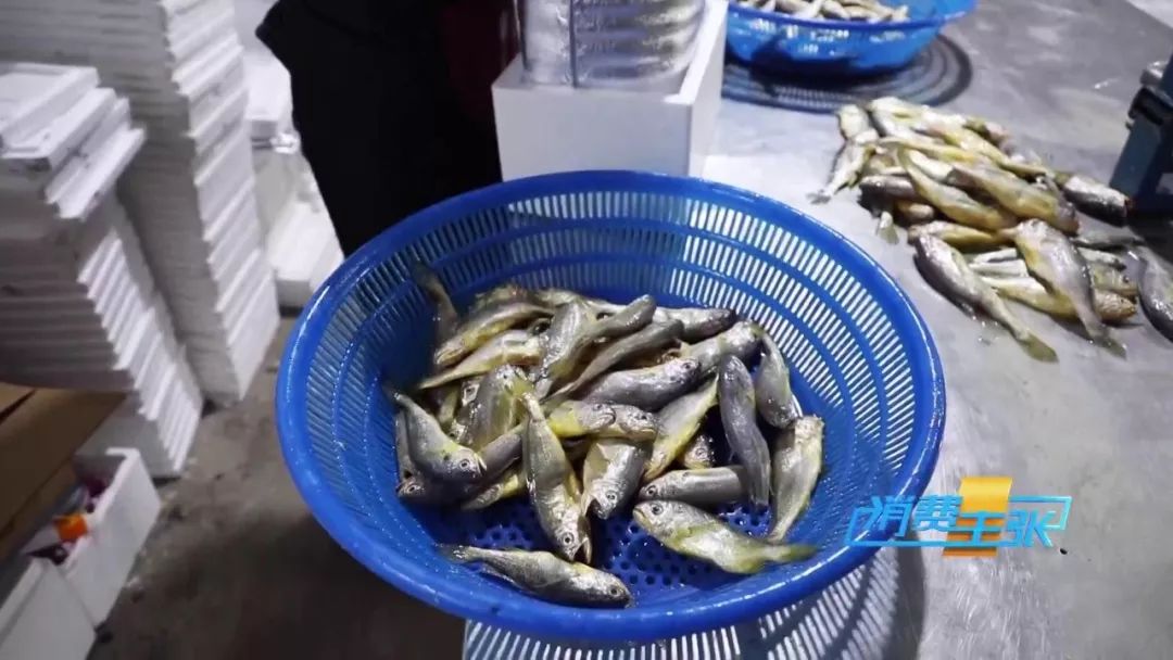 过年必囤的海鲜,过年买什么样的海鲜最有逼格