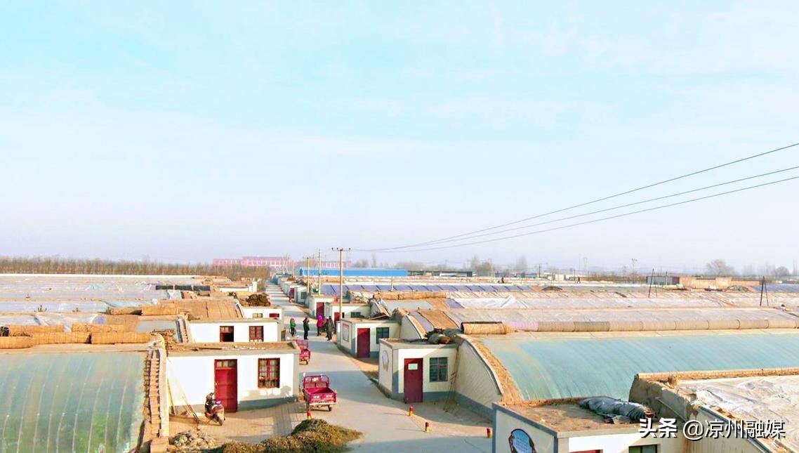 汇聚磅礴力量彰显使命担当——奋力开创凉州经济社会高质量发展新局面