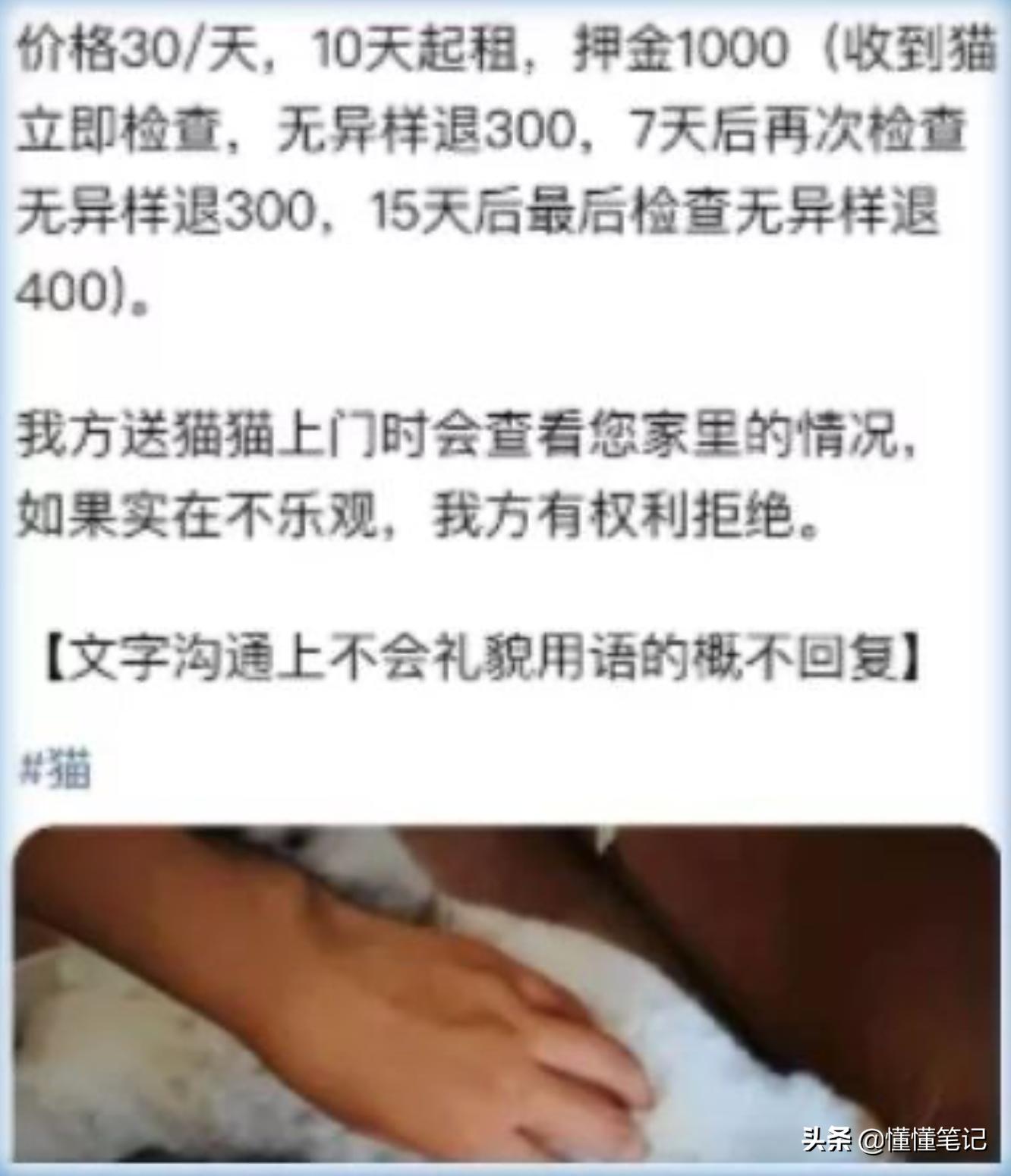 铲屎官一年养猫需要多少钱,猫咪铲屎官兼职工资多少钱