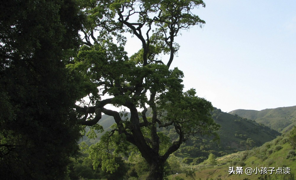 悲愤的诗句,悲愤激昂的古诗词