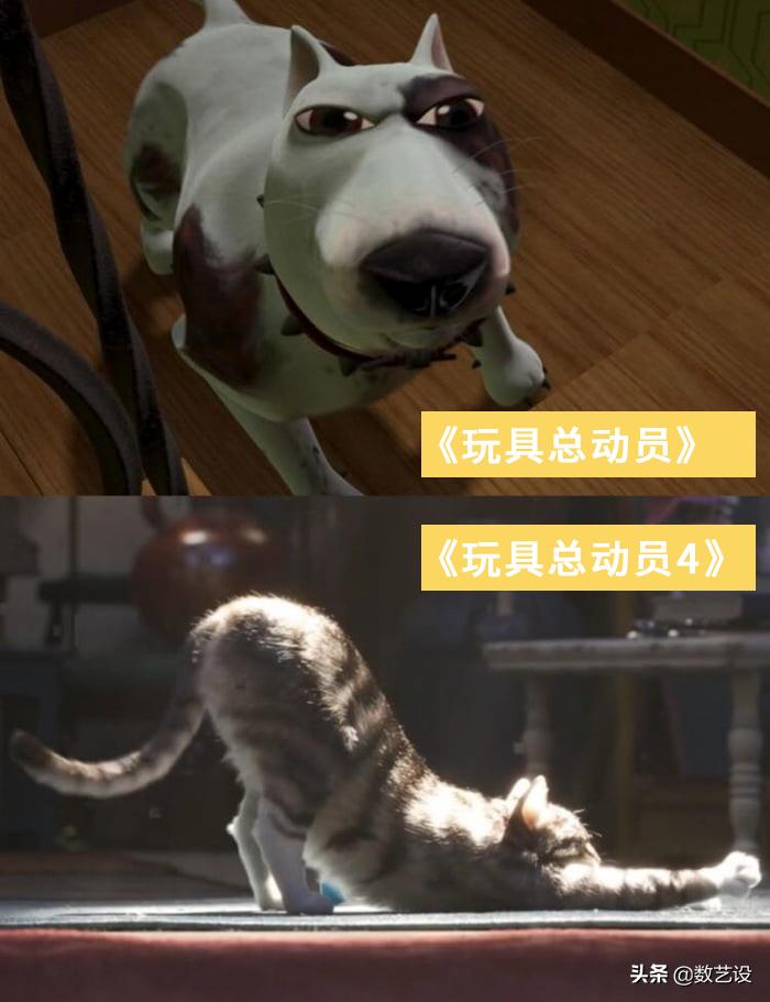 脱发过程3d动画,脱发有救了