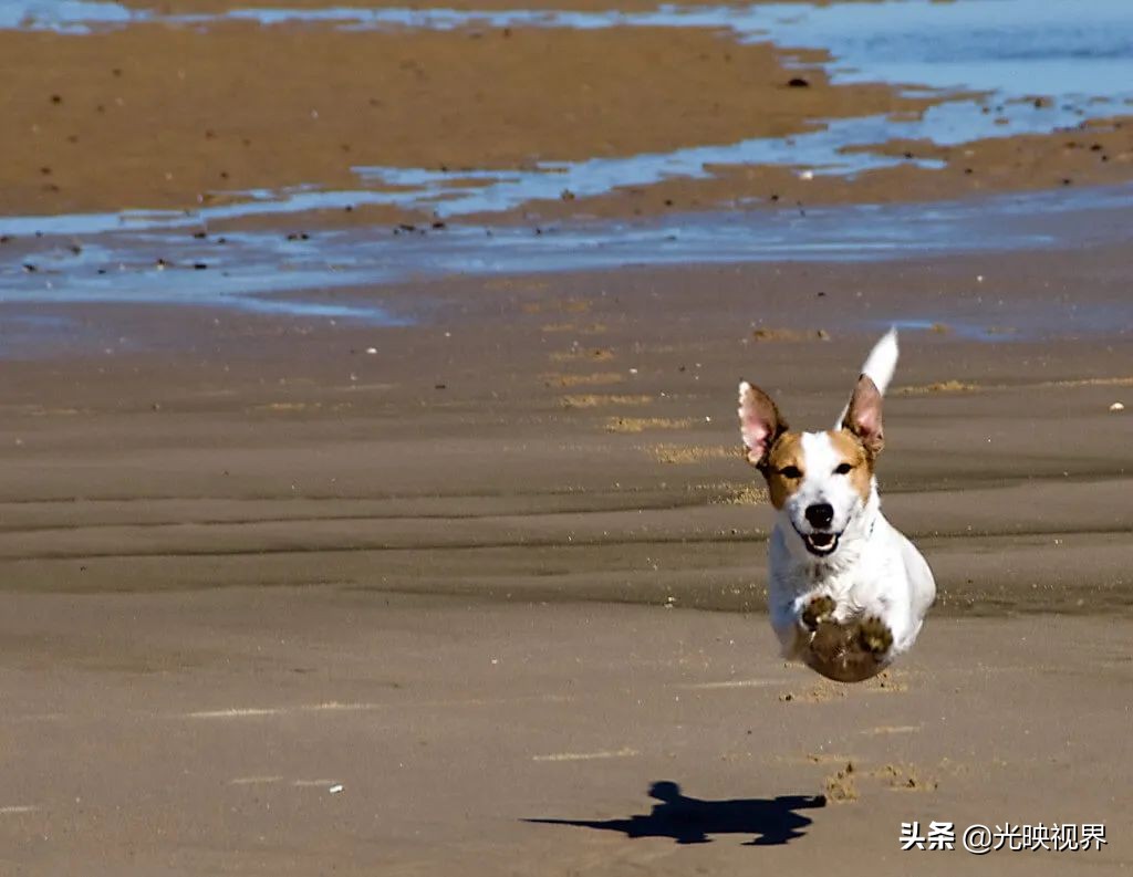 捕捉美好瞬间9秒视频,捕捉震撼的瞬间