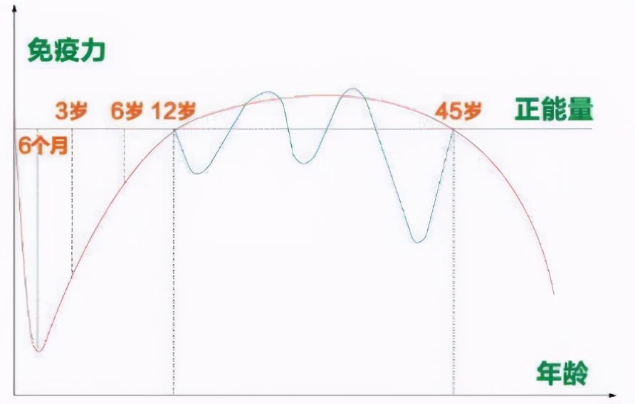 甲状腺免疫球蛋白营养素补充,免疫球蛋白复合营养素
