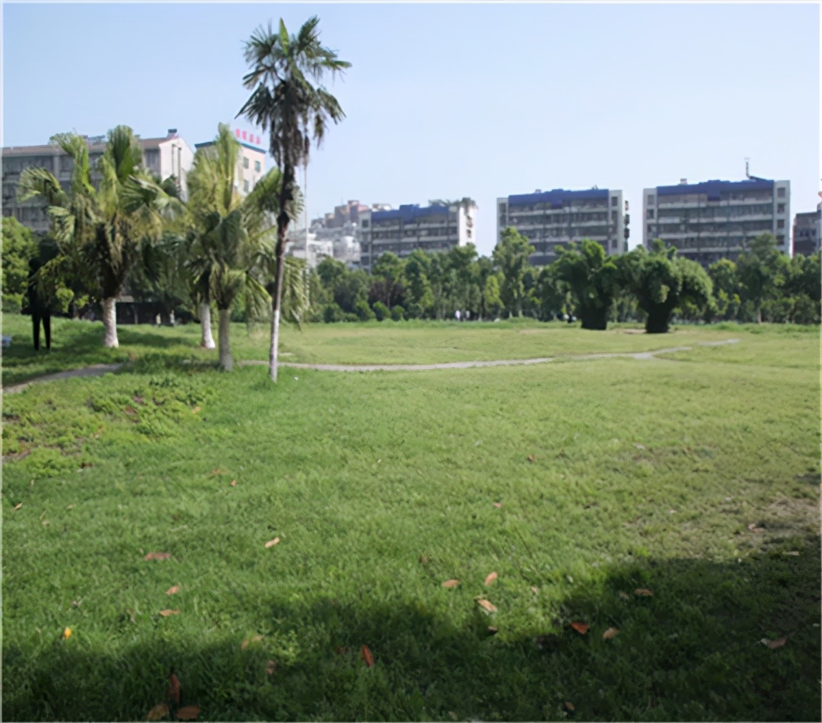 湖北荆州新增公园,荆州新修几个公园