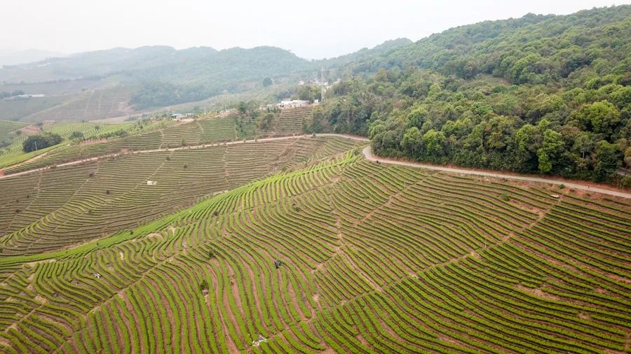 告庄西双景游玩多长时间,告庄西双景值得去吗