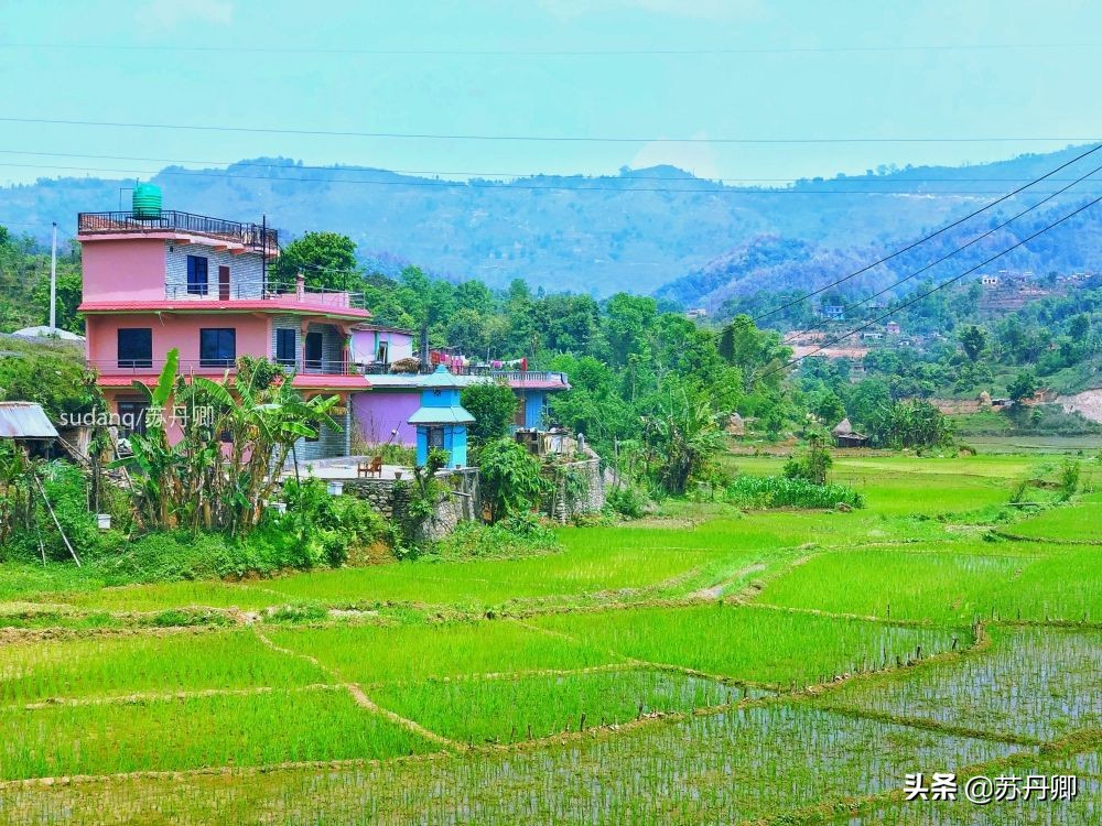 尼泊尔贫穷的真实生活,为什么说尼泊尔的幸福指数高呢