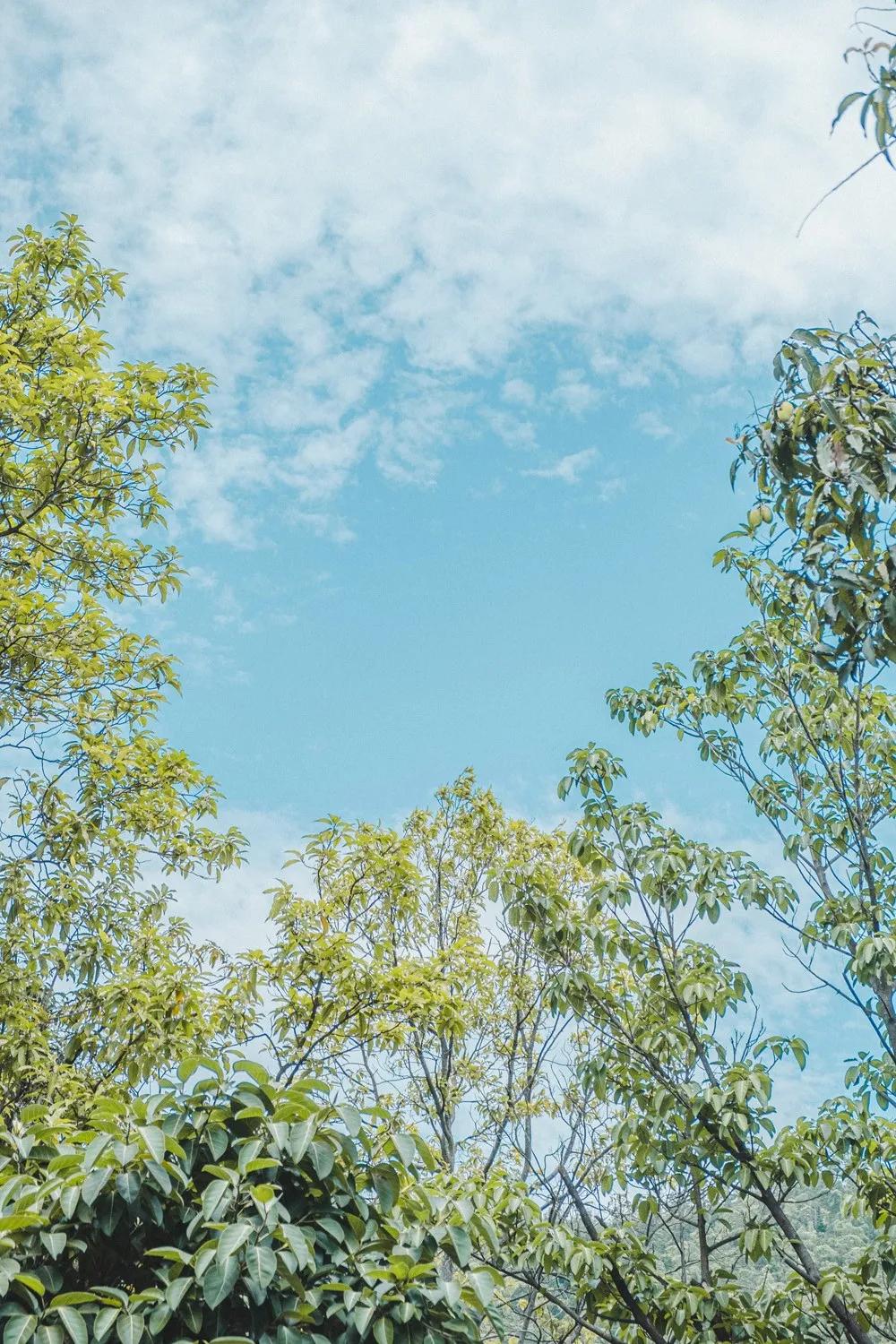 江门郊外散步,江门适合散步的地方