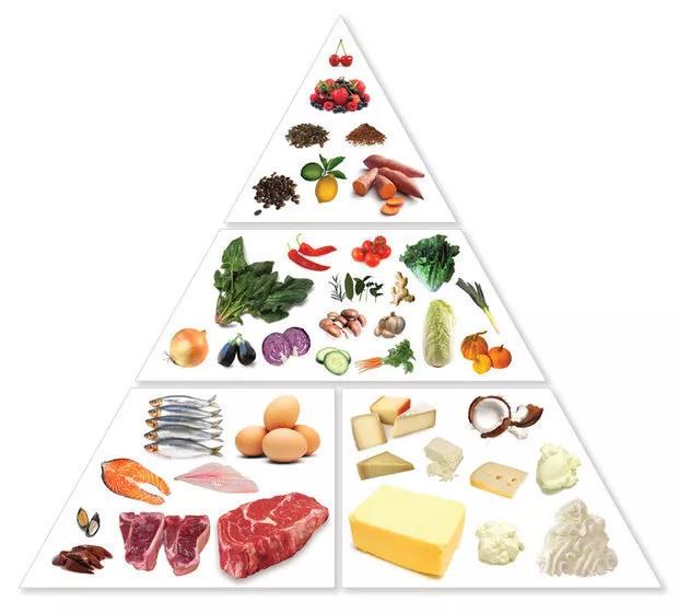 加拿大食品营养专业怎么样,西方营养学专业