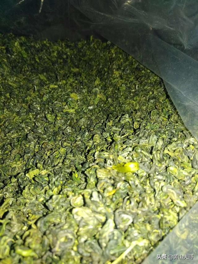 茶中翡翠，歙县滴水香——一颗蒙尘在北纬30°线上的黄山明珠