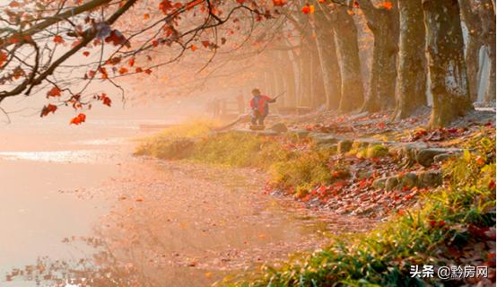 贵阳宜居的房子,宜居贵阳选哪个区