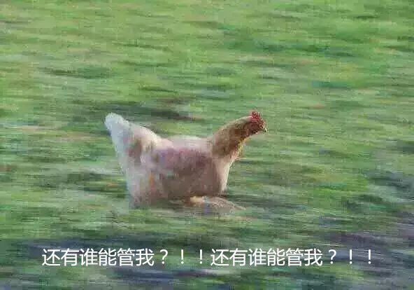 服装设计到底要不要坚持,服装设计属于什么大类