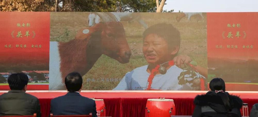 精彩绝伦！今天小悟乡的这场活动温暖又火爆！赶紧来点赞！
