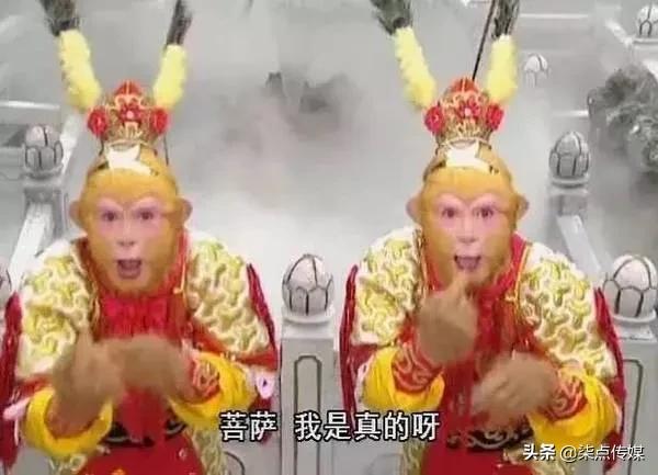 香奈儿图片引发的事件,香奈儿对抄袭的态度