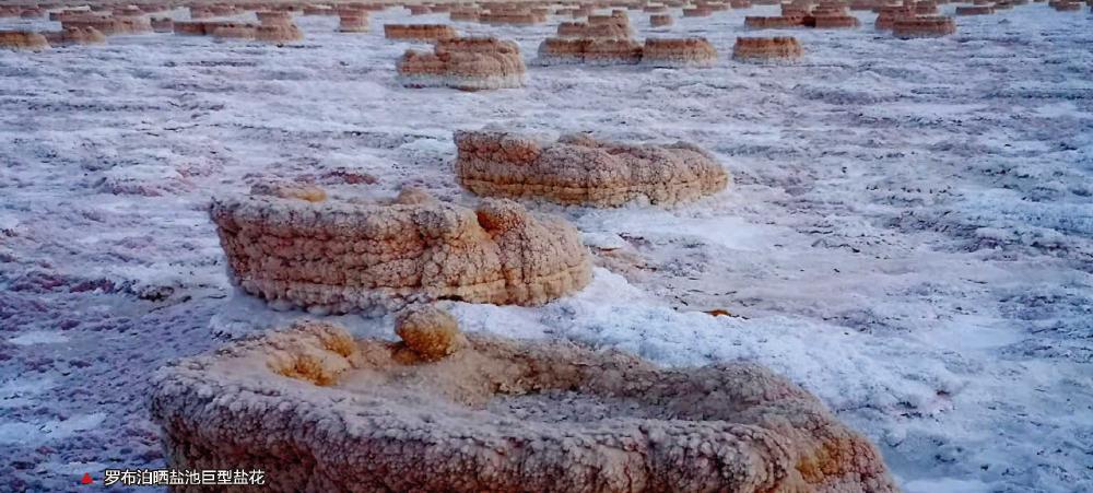 罗布泊有没有神秘的宝藏,神秘的罗布泊死亡之海